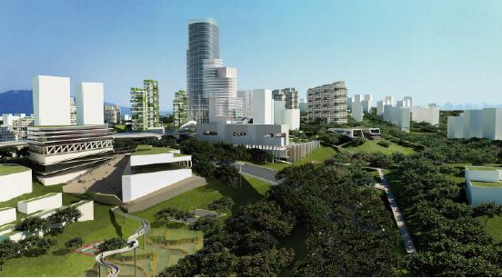 重庆生态低碳谷—二环时代大型聚居区翠云片区规划2010